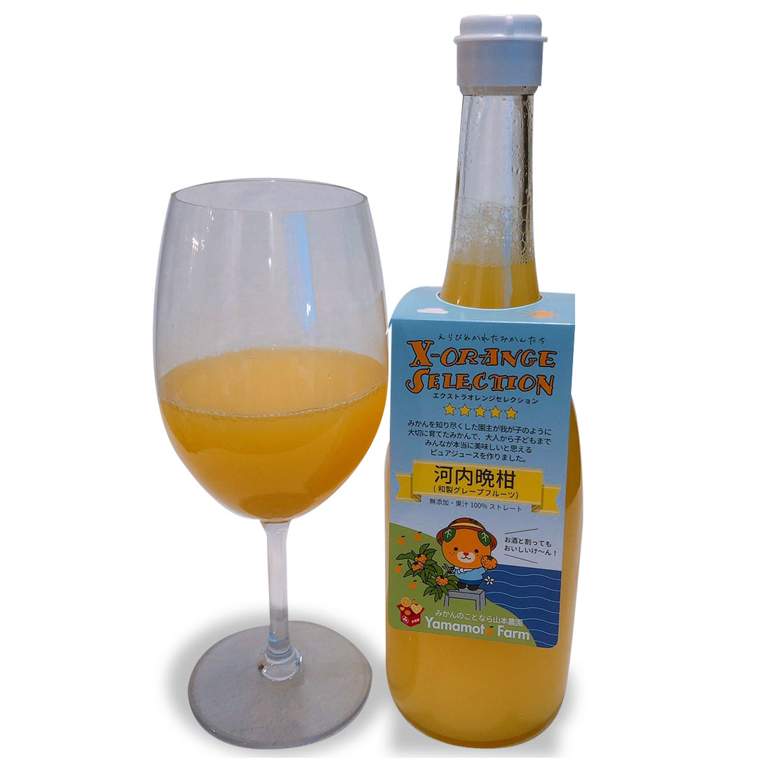 最新作河内晩柑ジュース　ストレート　果汁100% 酵素　無添加 果物